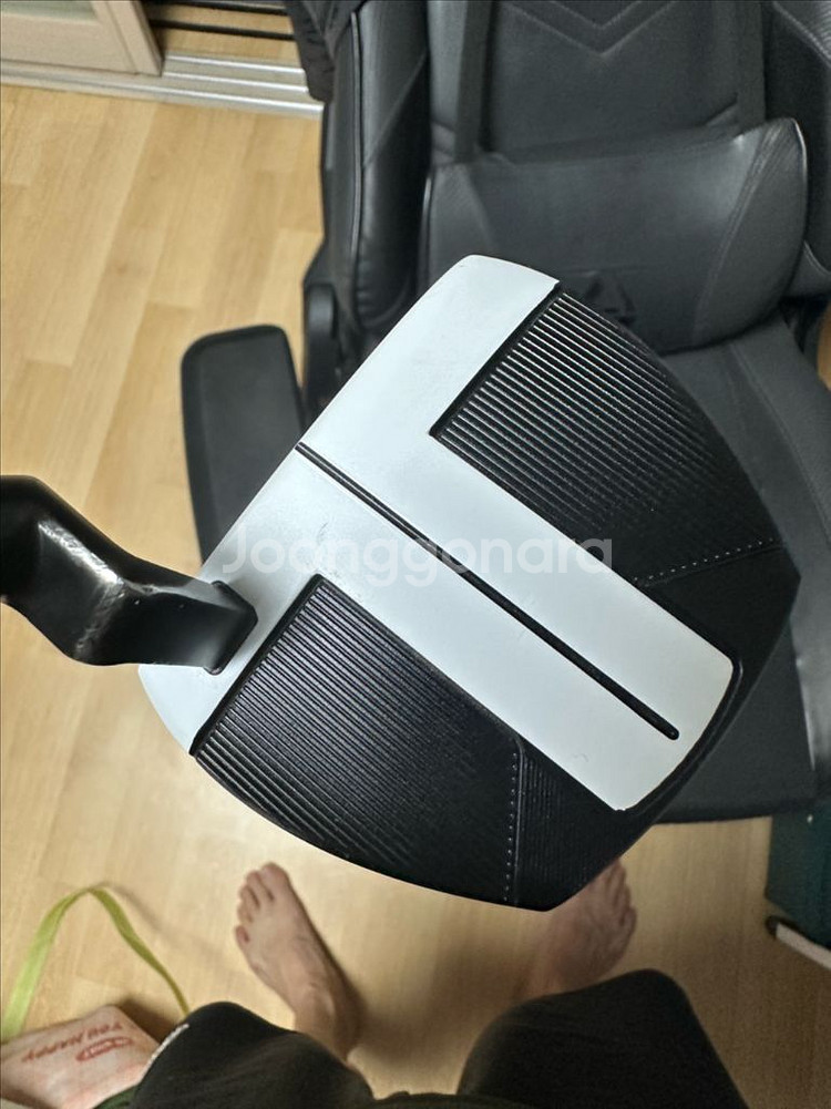 테일러메이드 스파이더 fcg 퍼터--0