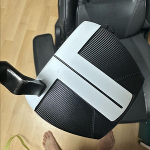 테일러메이드 스파이더 fcg 퍼터