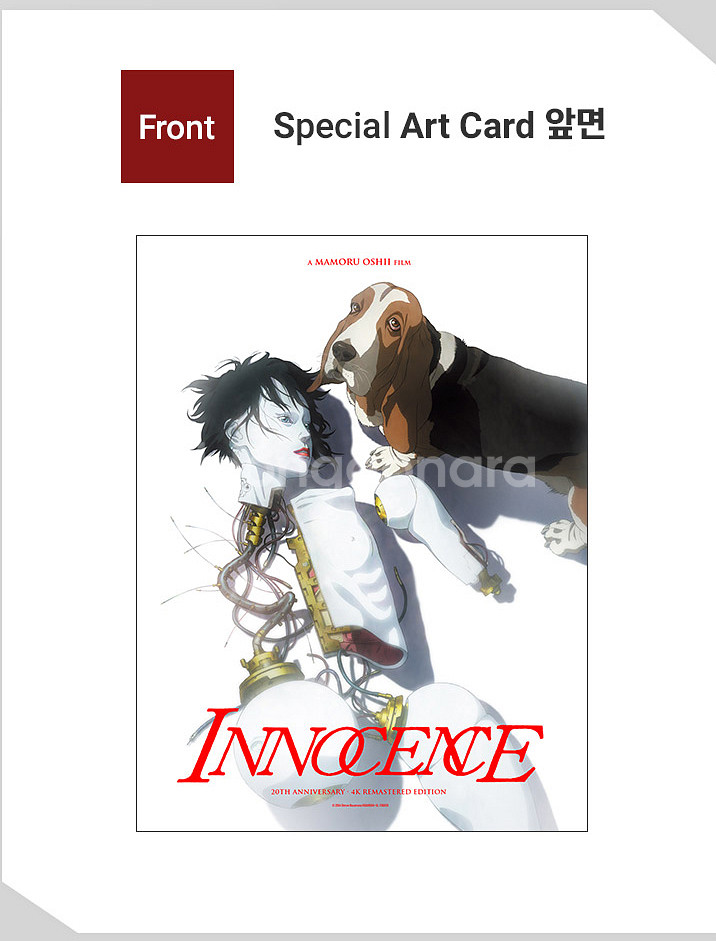 공각기동대 이노센스 스페셜 아트 카드 미개봉 스아카--0
