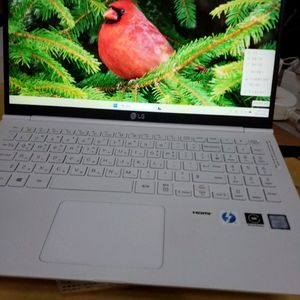 LG그램 15ZB990-VP50ML i5-8265U SSD512