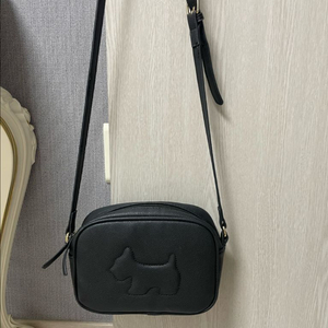 아가타 크로스백