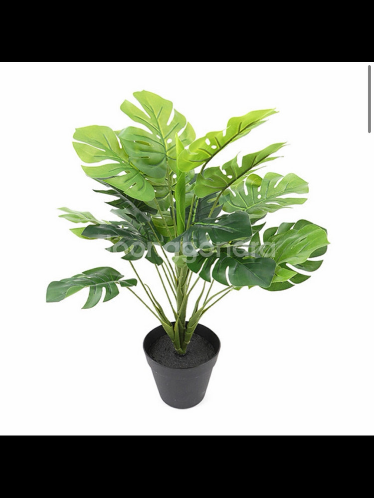 인조 몬스테라 알로카시아 조화 55cm--4