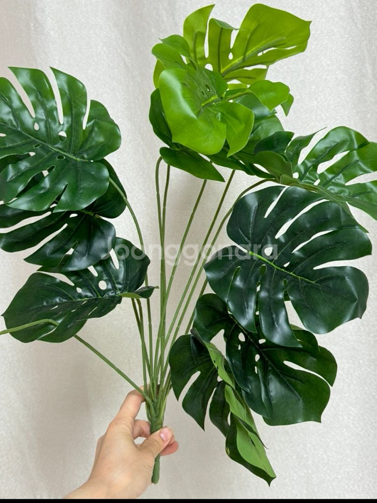 인조 몬스테라 알로카시아 조화 55cm--1