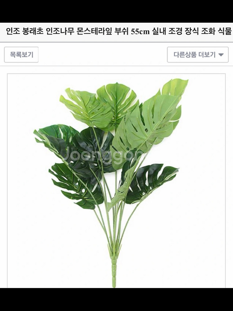 인조 몬스테라 알로카시아 조화 55cm--2