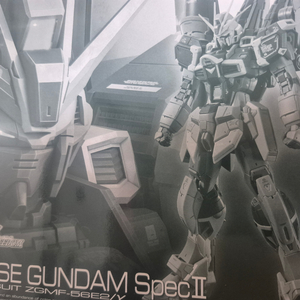 Rg 프라모델 임펄스 건담 스펙II