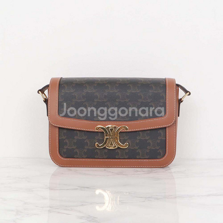 셀린느 트리오페 캔버스 미디움 숄더백 191242BZ4 04LU--1