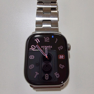 애플워치 10 에르메스 46mm 사티네 L