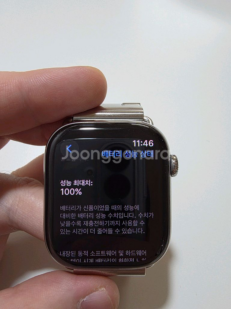 애플워치 10 에르메스 46mm 사티네 L--5