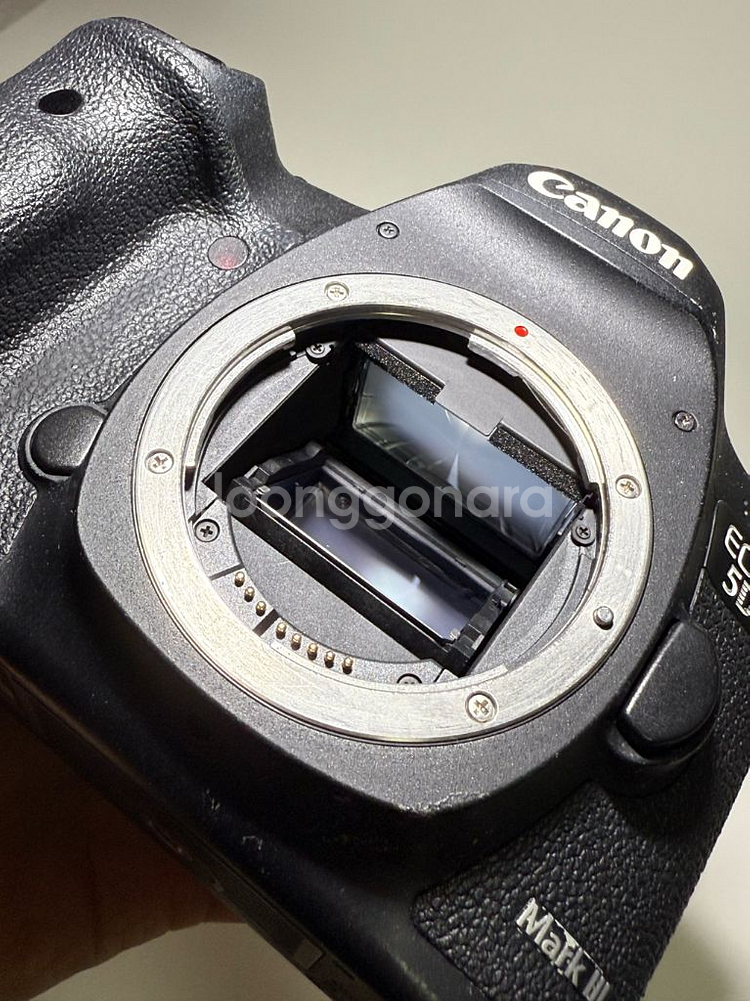 canon 5DMark3 + 구계륵 24-70mm--2