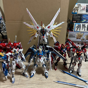 반다이 HG 6종(시드) 풀도색 (RG 1종 포함)일괄팜