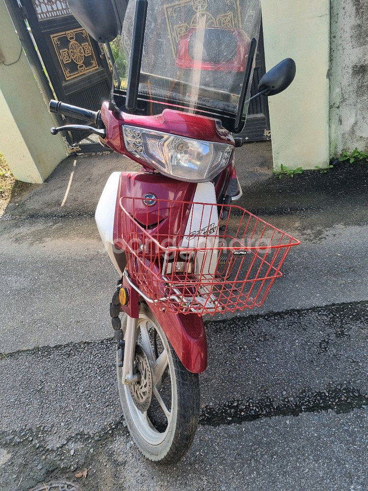 시티 베스트 citi best--1