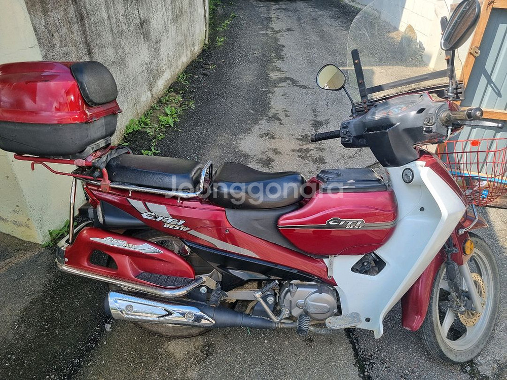 시티 베스트 citi best--2