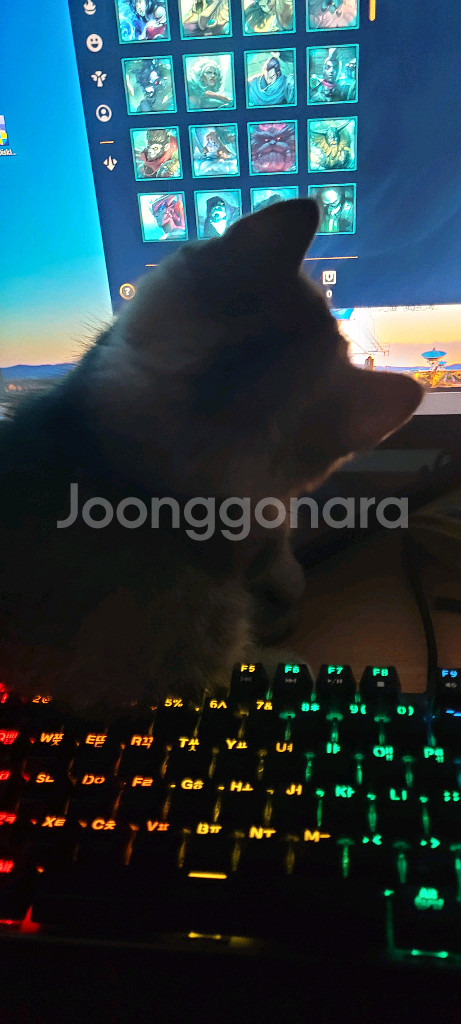 대구) 조텍 zotac RTX 3060Ti 팝니다!--3