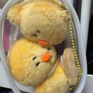 엔하이픈 니키 인형 무라삐 카와삐 이미지