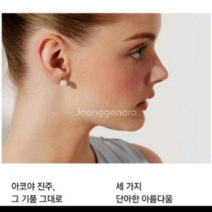 골든듀 아코아진주 귀걸이