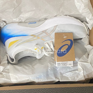 젤카야노31 255 255mm 아식스