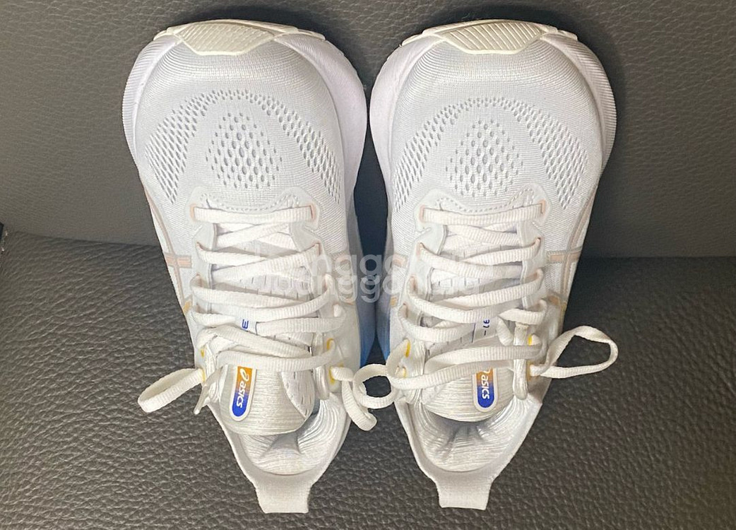 젤카야노31 255 255mm 아식스--1