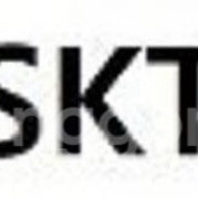 skt 데이터쿠폰 2GB 일괄