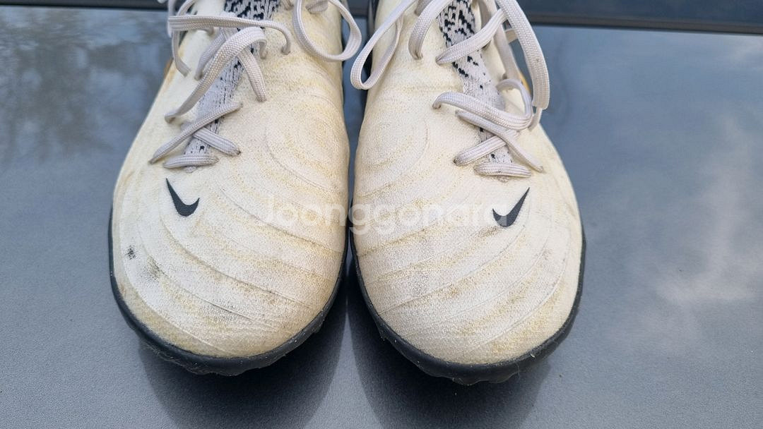 (260mm) 팬텀GX2 프로 TF--1