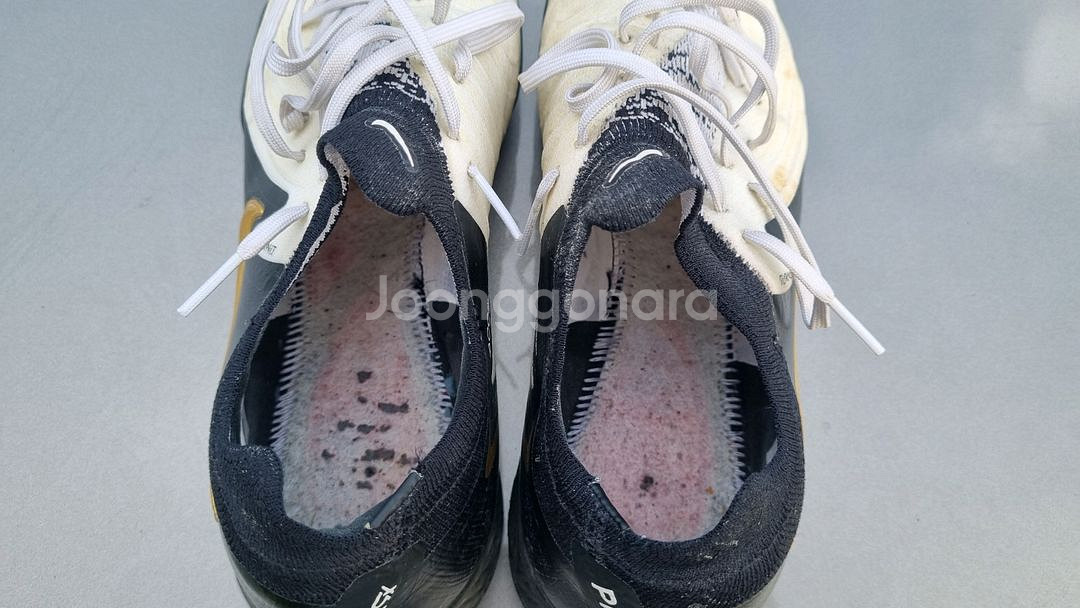 (260mm) 팬텀GX2 프로 TF--4