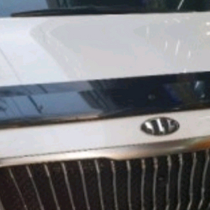 더뉴카니발 버그가드 구매합니다