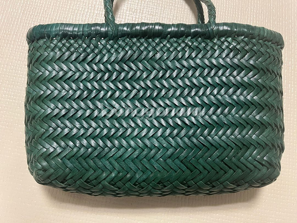 드래곤디퓨전 드래곤백 미니 플랫 고라- 그린--1