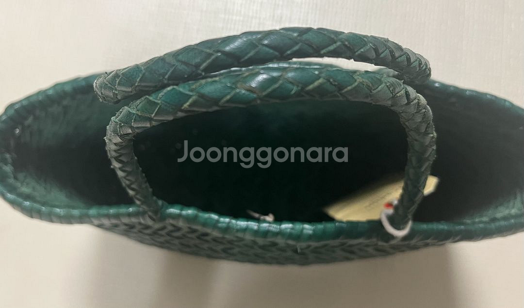 드래곤디퓨전 드래곤백 미니 플랫 고라- 그린--3