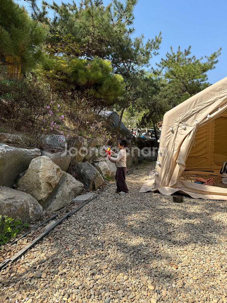 [급처분]쿠디 에어 면텐트 10.0 + 쿠디 쉘터 9.0 판매--3