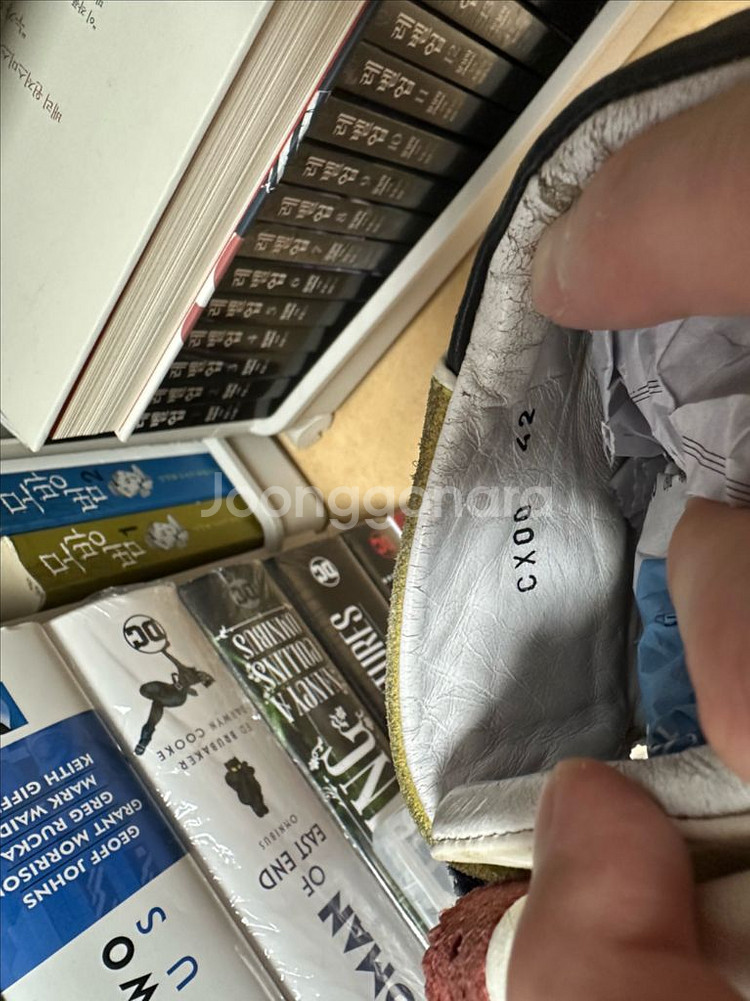 피에르하디 콜로라마 하이탑--7