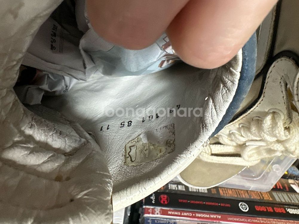 피에르하디 콜로라마5 하이탑--8