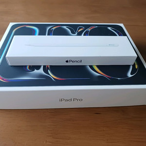 아이패드 프로 11인치 M5 512GB wifi + usb pen