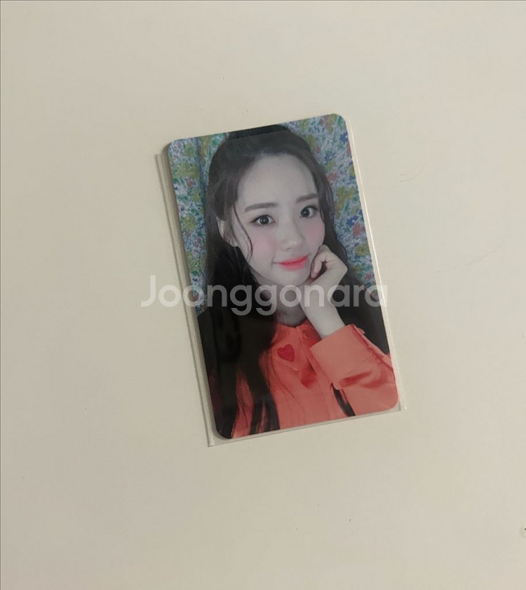 프로미스나인 박지원 약속회 6회 판매--0