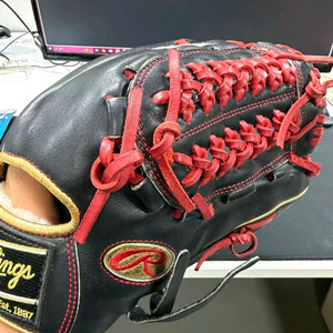 롤링스 올라운드 12인치 야구글러브