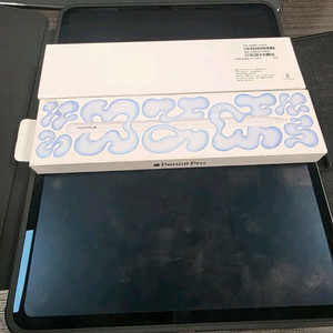 아이패드m4. 13인치. 1TB. 5g. 애케플. 펜슬