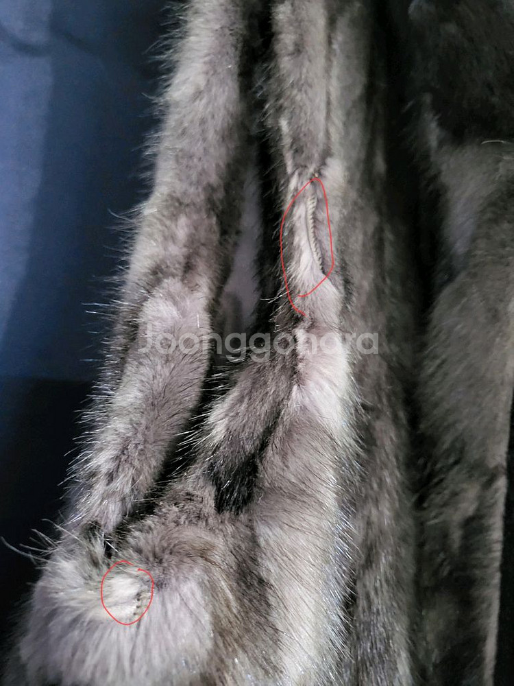 macaw 마코 천연밍크 후드베스트--4