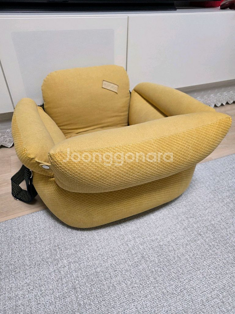 바늘나무두그루 강아지 카시트 (썬샤인 엠보)--0