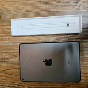 아이패드 미니 5세대 64g wifi 스그 팝니다.