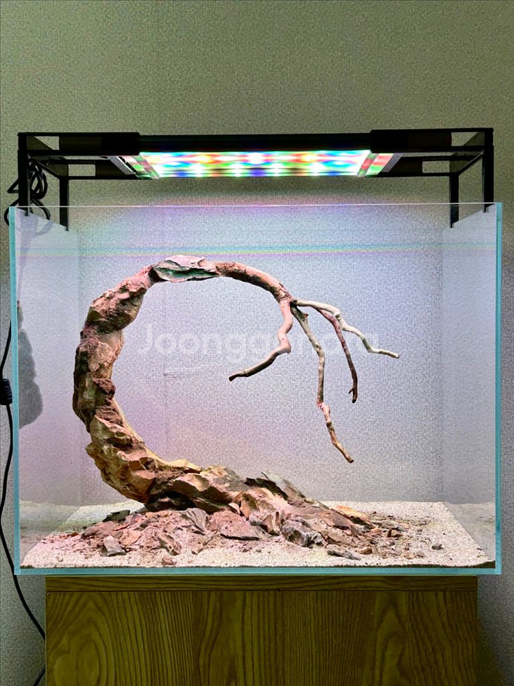 45자반 황호석 레이아웃 어항(배송가능)--0