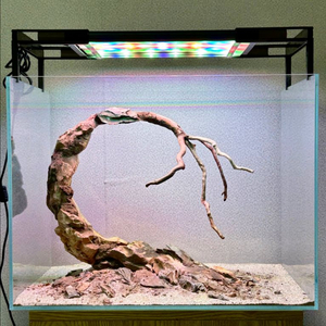 45자반 황호석 레이아웃 어항(배송가능)