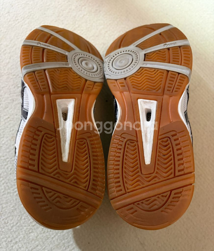 아식스 로테리브레 배구화 255--1