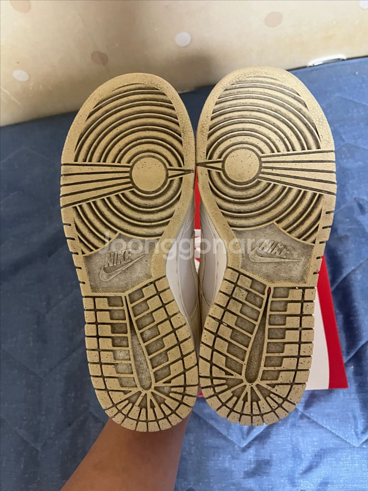 [245] (W) 나이키 덩크 로우 넥스트 네이쳐 세일--1