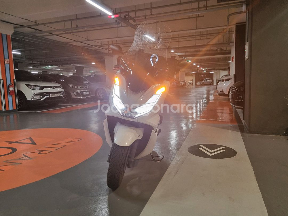가격내림 pcx125(24년식) 4만키로 판매합니다--2