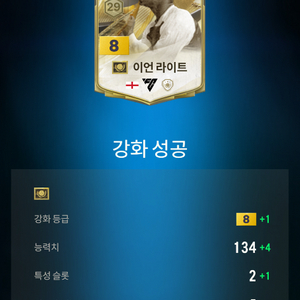 fc온라인 모먼트 라이트 금카 포함5300조