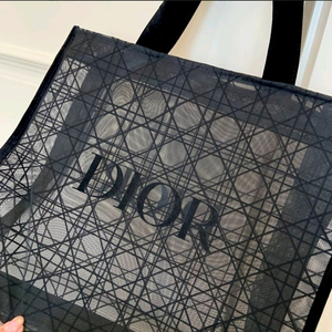 디올 매쉬 에코백