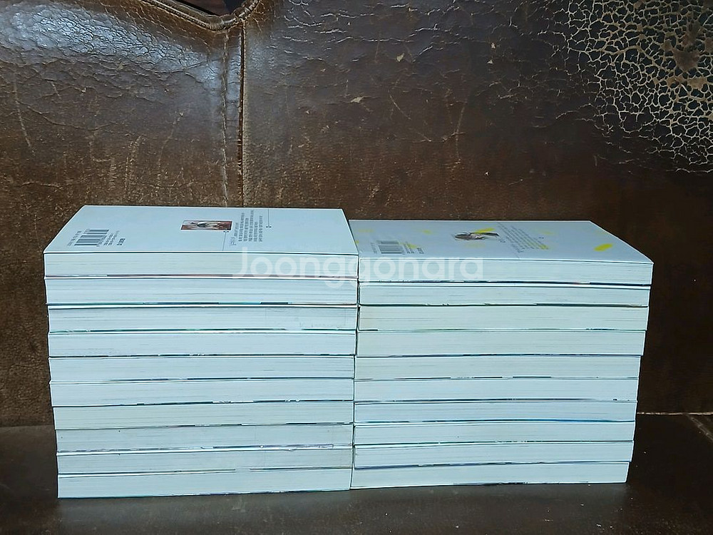 소년음양사(유키 미츠루)--1