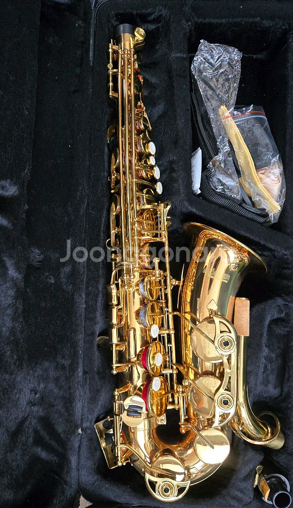 알토 색소폰--2