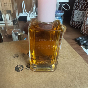 푸에기아1833 뉴욕