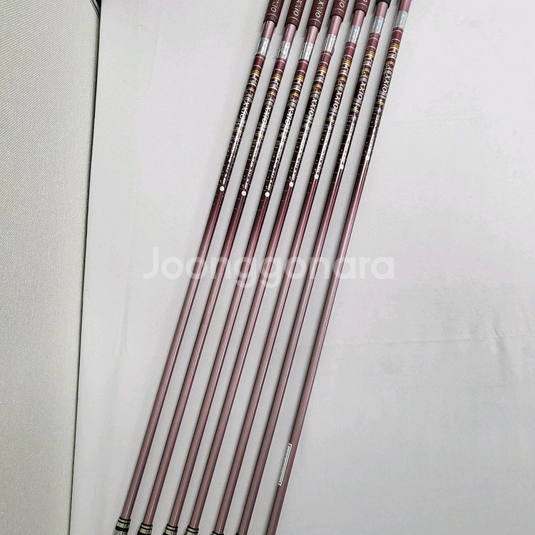 젝시오8 여성아이언7 L 정품 E508241--5