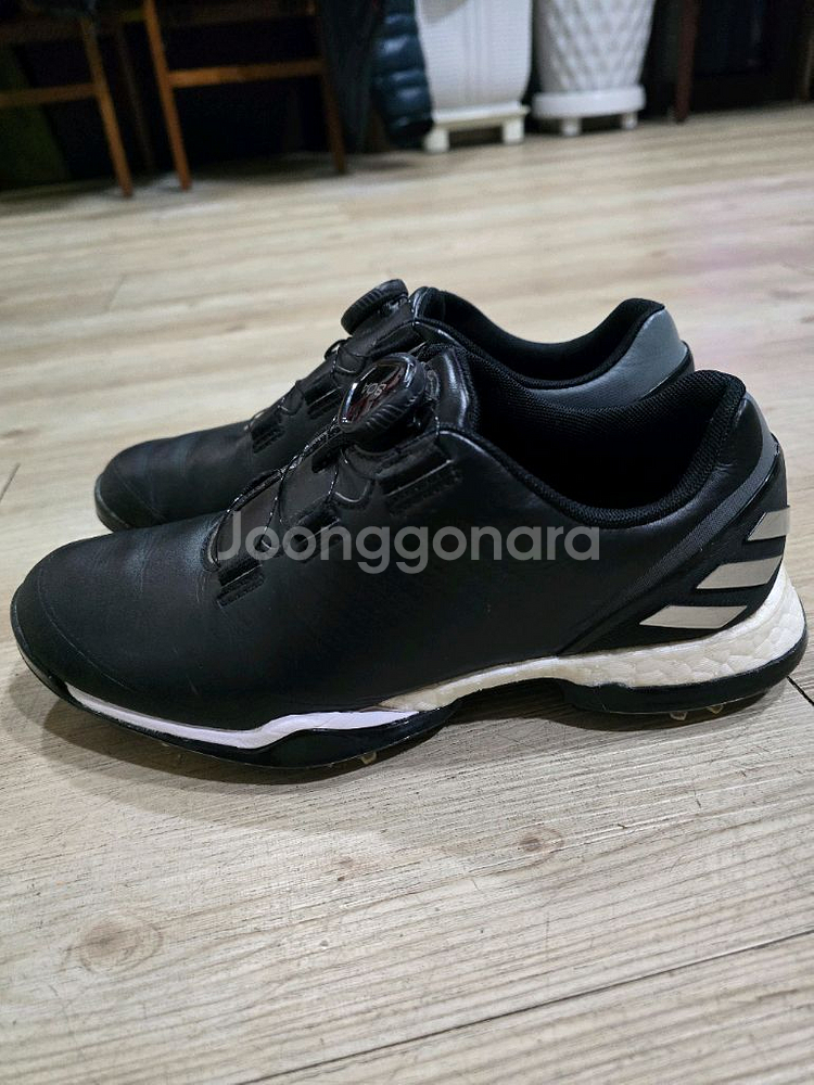 아디다스 골프 포지드 보아골프화 230mm--0