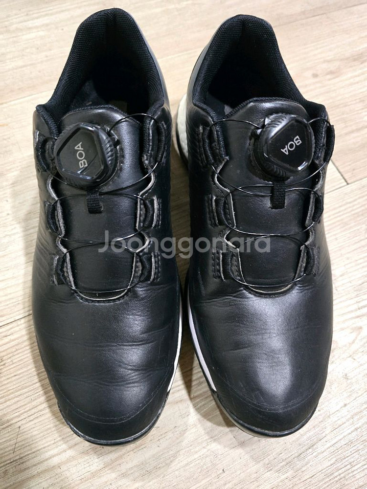 아디다스 골프 포지드 보아골프화 230mm--1